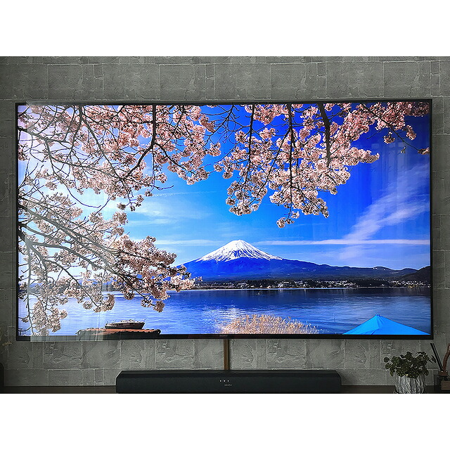 楽天市場】ジャストサイズ テレビガード 65型 65インチ ツヤあり