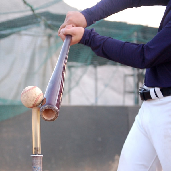 楽天市場】【即日発送可】SAKUGOE サクゴエ PUT式 強打者を育てる