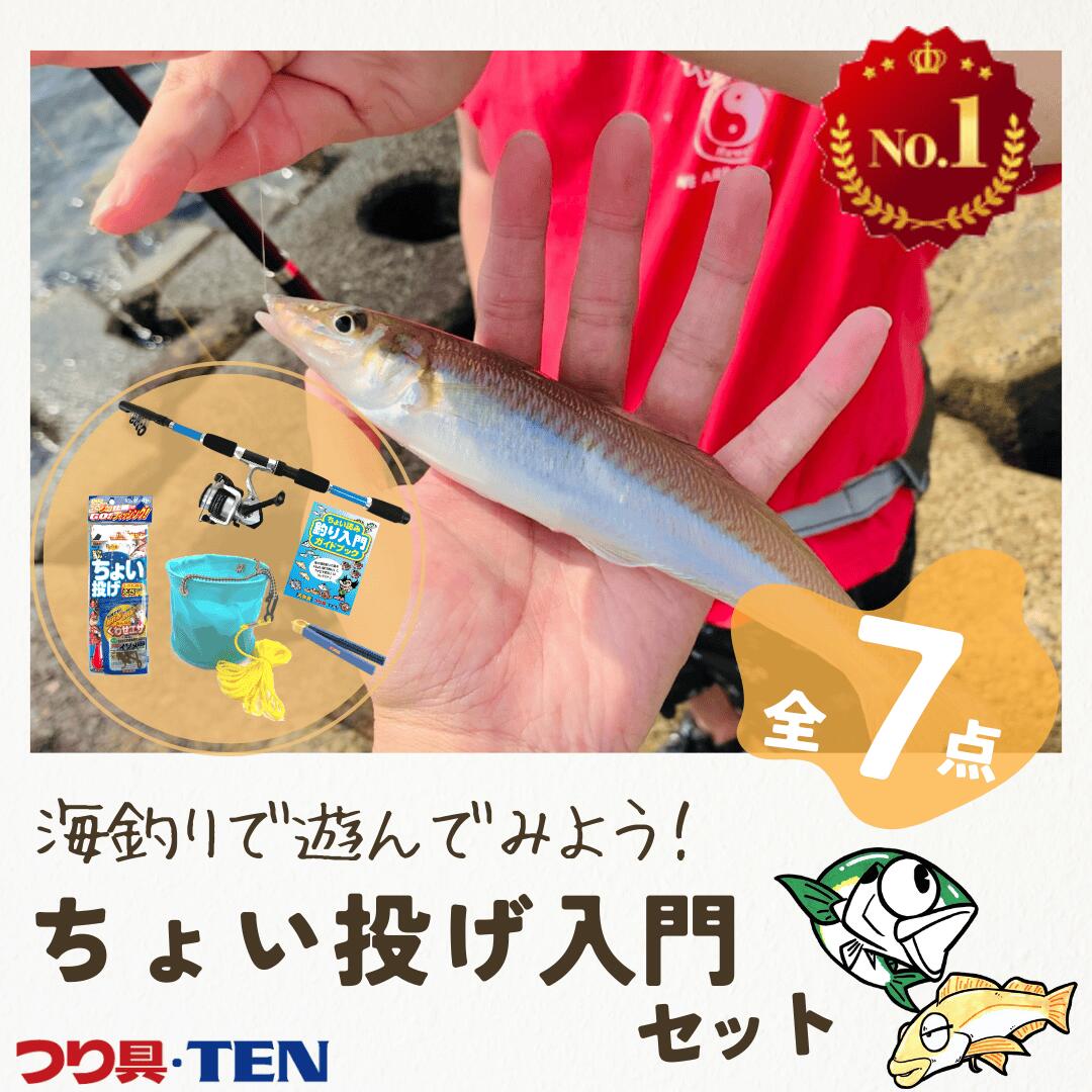 楽天市場】サビキ釣り ちょい投げ釣り完全釣りセット 全9点 1ヶ月保証