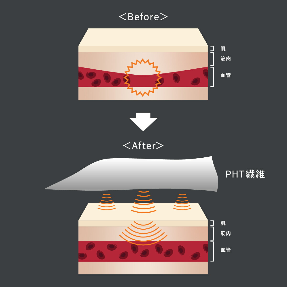 楽天市場】【SS期間中P10倍】【VENEX公式】 ベネクス アイマスク