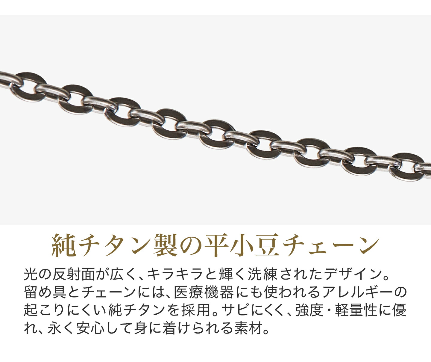 楽天市場】ファイテン ネックレス チタンチェーン ベーシック phiten