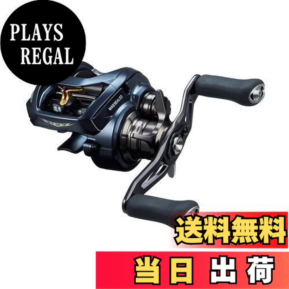 ダイワ スティーズ A II TW 1000XHL (リール) 価格比較 - 価格.com