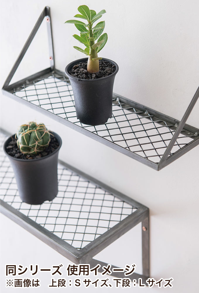 楽天市場】ウォールシェルフ 壁 収納 メッシュラックL : ポッチワン