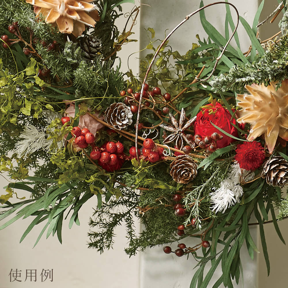 楽天市場】【P15倍中 3/11 9:59まで】 ドライフラワー 花材 即日出荷