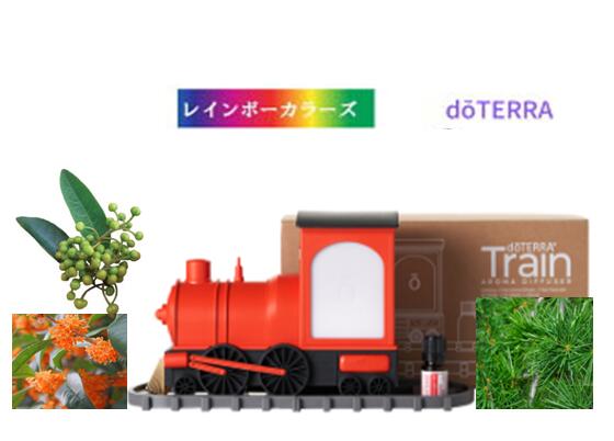 楽天市場】＼クーポン進呈中／ ドテラ トレインディフューザー