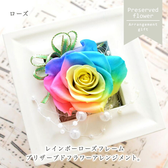 高級プリザーブドフラワー】レインボーローズ 花時計 フォトフレームL