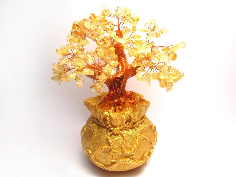 楽天市場】【全品P5倍】○【招財樹 シトリン 金のなる木】(小) 縦約