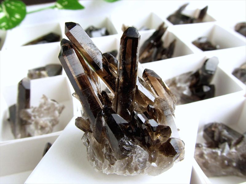 楽天市場】水晶 クラスター ミニの通販