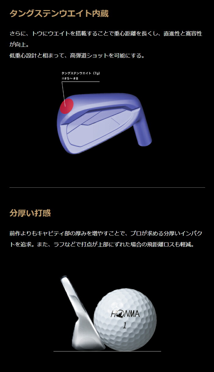 楽天市場】本間ゴルフ ツアーワールド Vx アイアン 5本セット（#6-#P