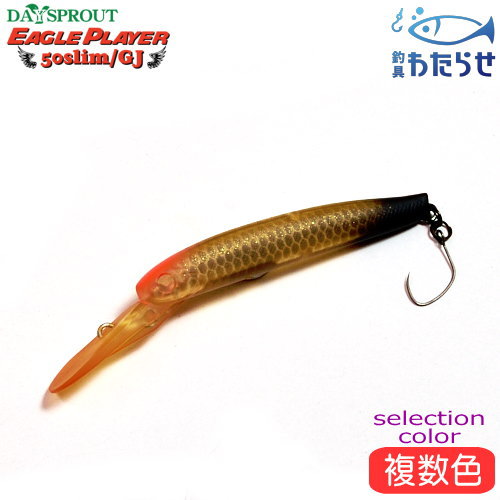 楽天市場】ディスプラウト イーグルプレーヤー50スリム/GJ