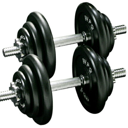 楽天市場】ワイルドフィット アイアン ダンベル セット 40kg送料無料