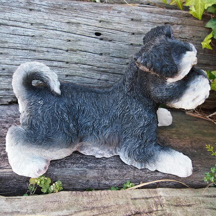 楽天市場】犬の置物 シュナウザー N15512 いぬ イヌ 動物