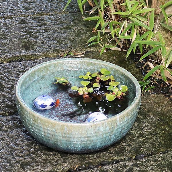 楽天市場】【今だけ限定15%OFFクーポン配布中】水鉢 すいれん鉢 信楽焼