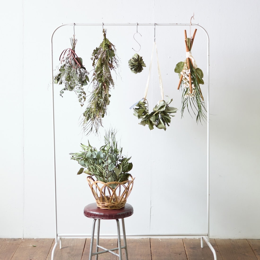 ミルフィーユ＞ユーカリ ポポラスのリース 商品ページ - 土と風の植物園