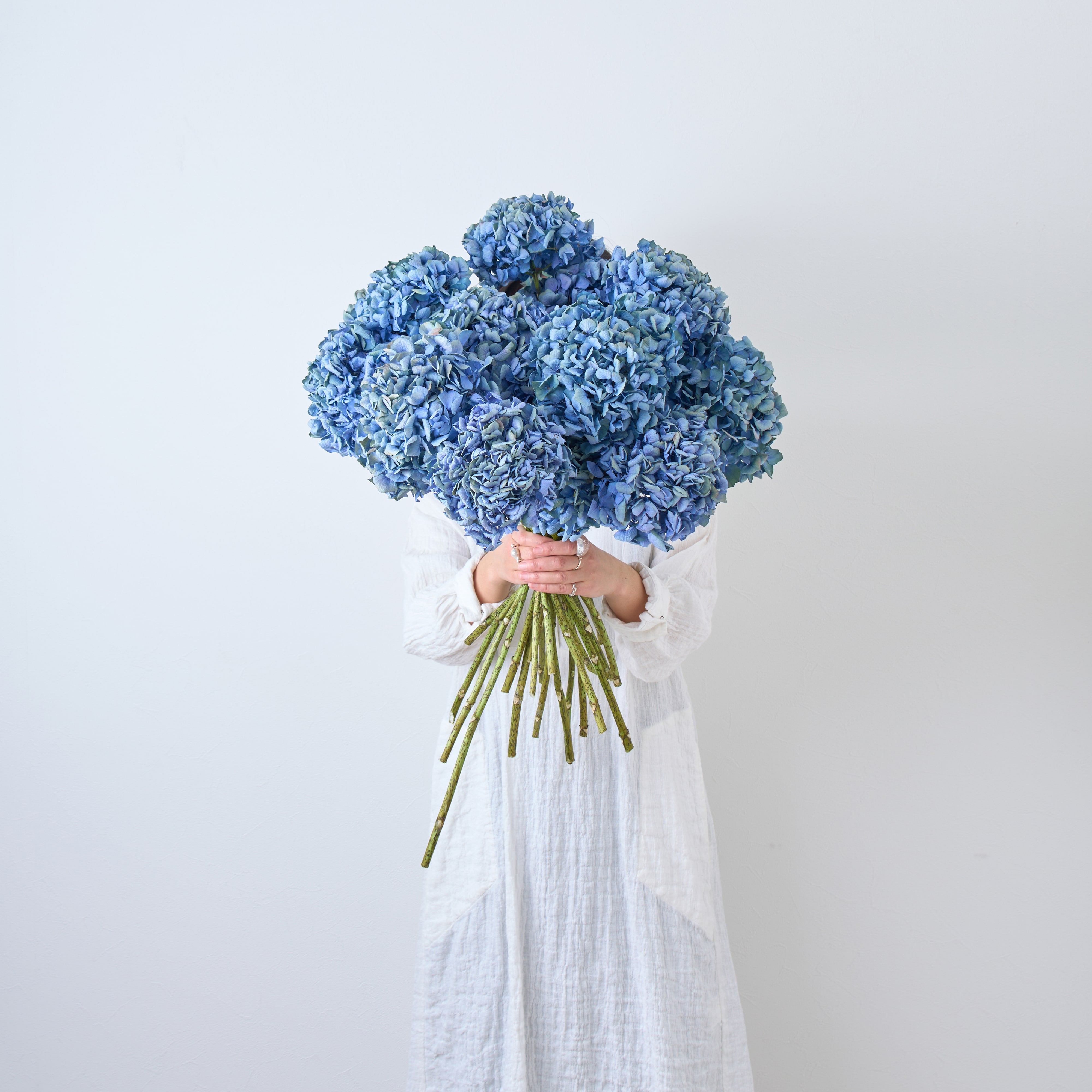 特大ブルーバードと紫陽花のハーフリース/ドライフラワー/Christmas