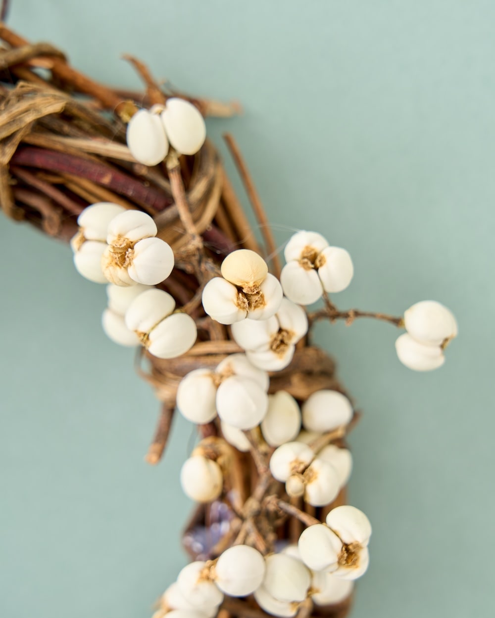 ナンキンハゼのミニリース 商品ページ - 土と風の植物園