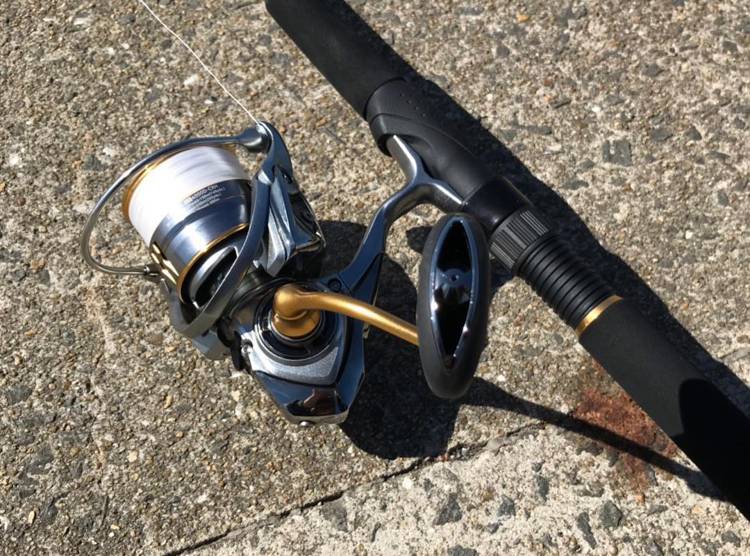 18 フリームス LT4000D-CXHのスペックとインプレ | 釣りクラウド