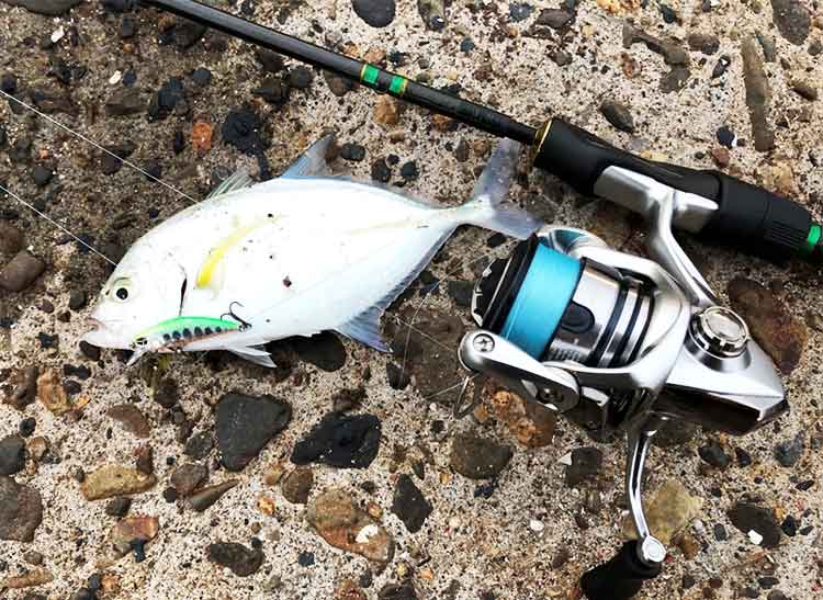 19 ストラディック C2000Sのスペックとインプレ | 釣りクラウド