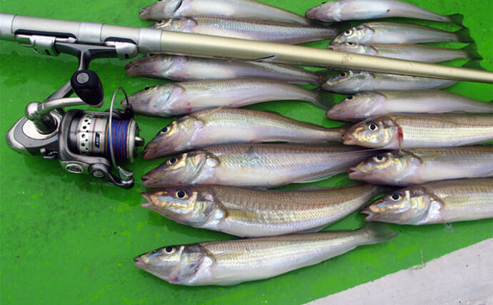 船キス竿のオススメ6選 竿頭を狙うためのロッドの選び方 | TSURINEWS