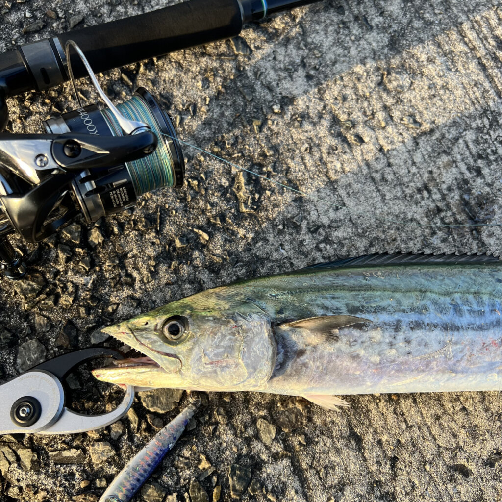 TRANSCENDENCE（トランスセンデンス）CURRENTES82S/98S+（カレンテス