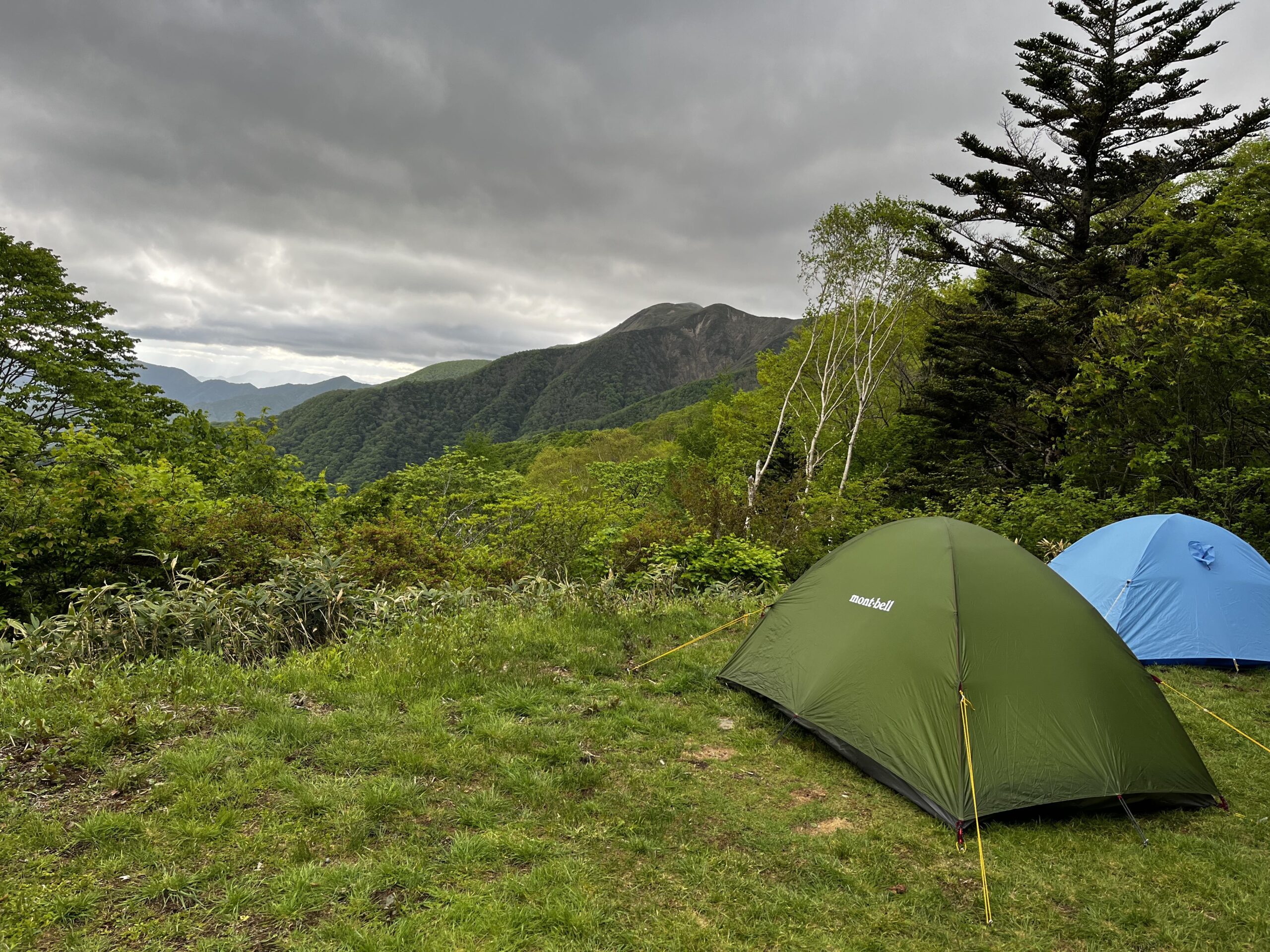 コスパで選ばれる山テント モンベル ステラリッジテント | tree