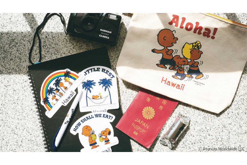 新品未開封ハワイ限定SURF'S UP PEANUTS×ペンドルトンタオルケット