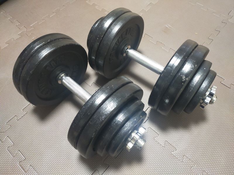 リーディングエッジ(LeadingEdge)のアイアンダンベルを使い続けた