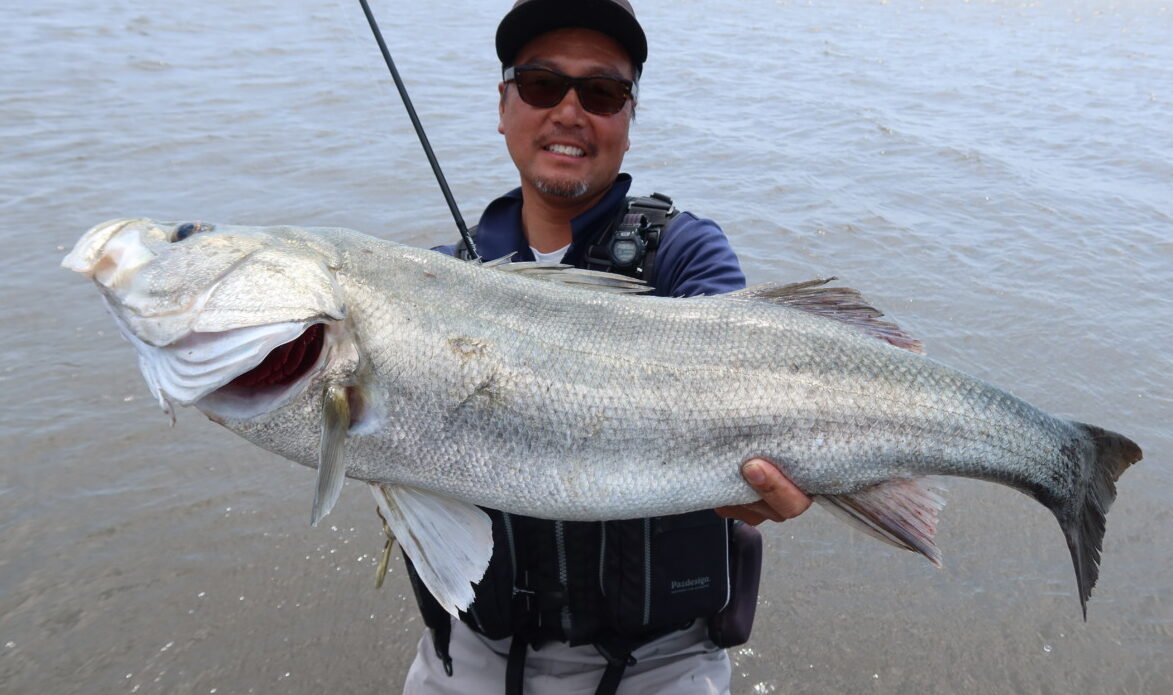 Trump711 S3 EDITION | TRUTH JAPAN