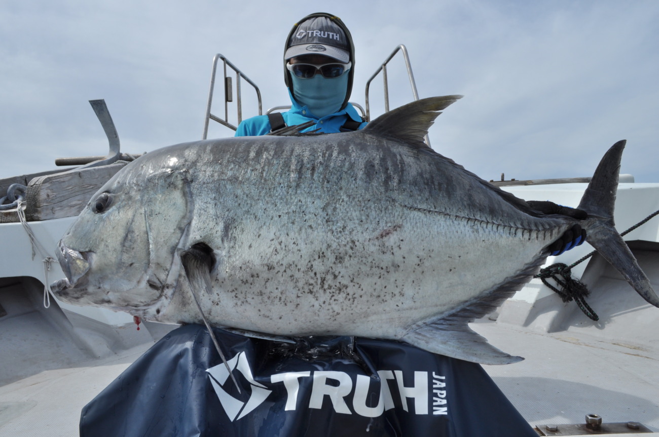 truth japan ホワイトインサイト828値下げ中‼️ WhiteInsight 828