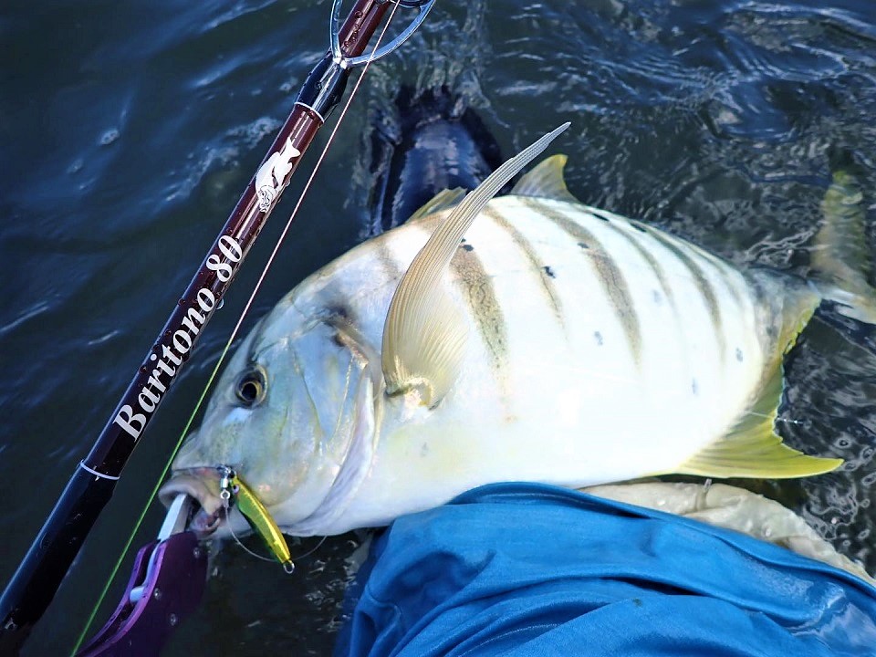 TULALA | Ford every stream | » Baritono 80