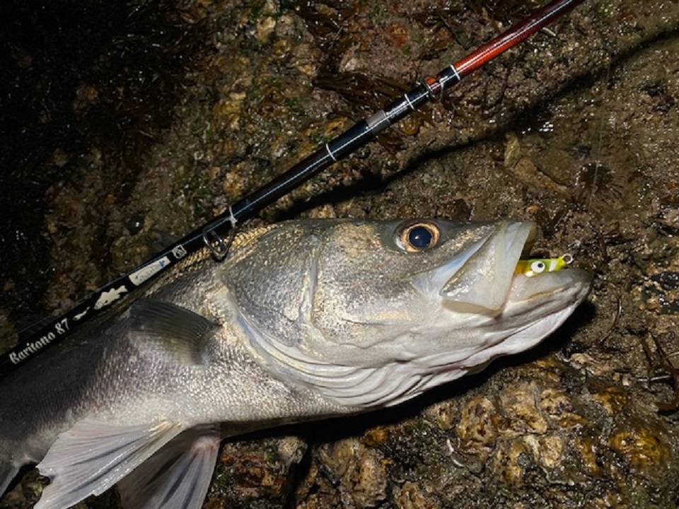 TULALA | Ford every stream | » タグ » バリトーノ87