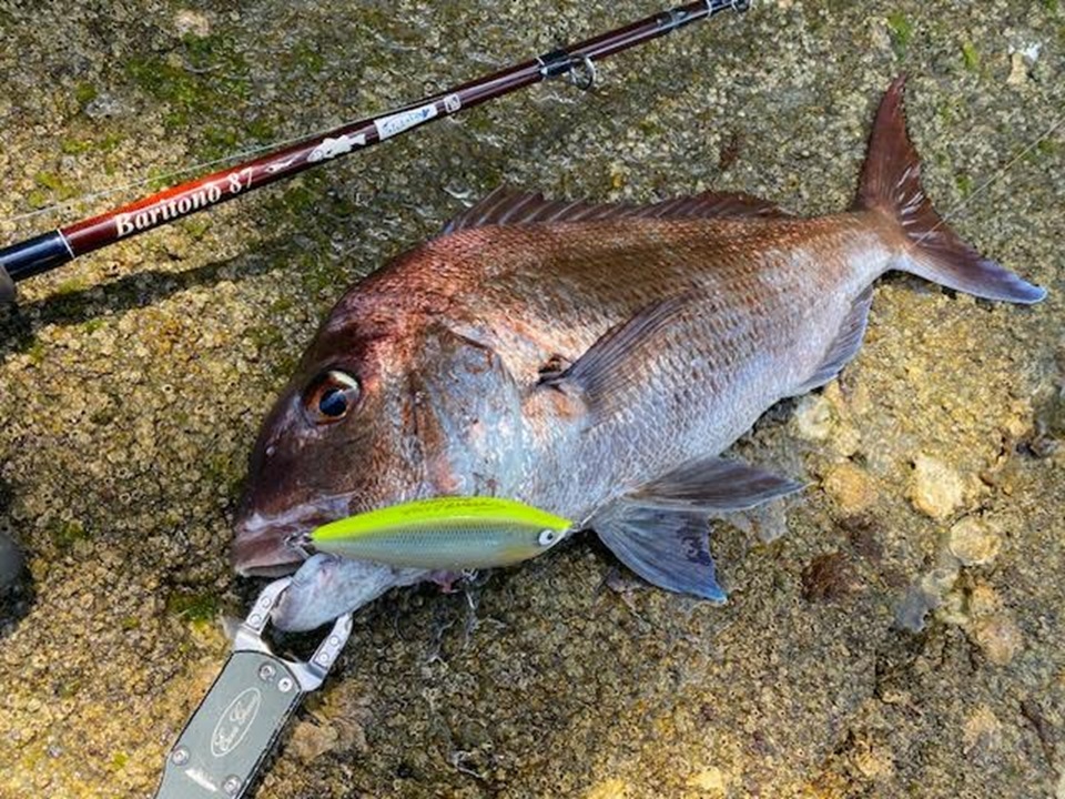 TULALA | Ford every stream | » 【公式】特筆すべきは水中解像度