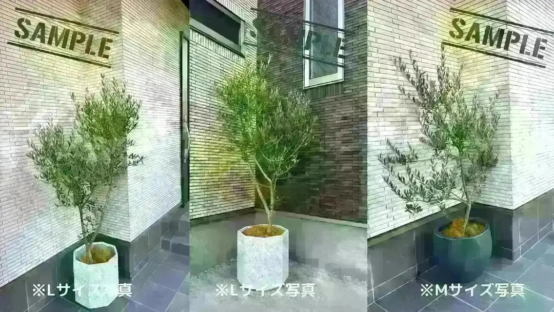 b9ab55fab76934f5c9fe8aa4f20b32