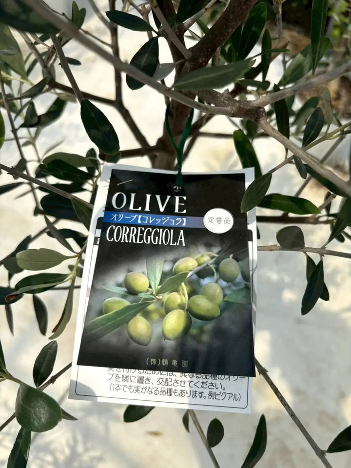 f129e2e7350bede184f56dc4b99ffa