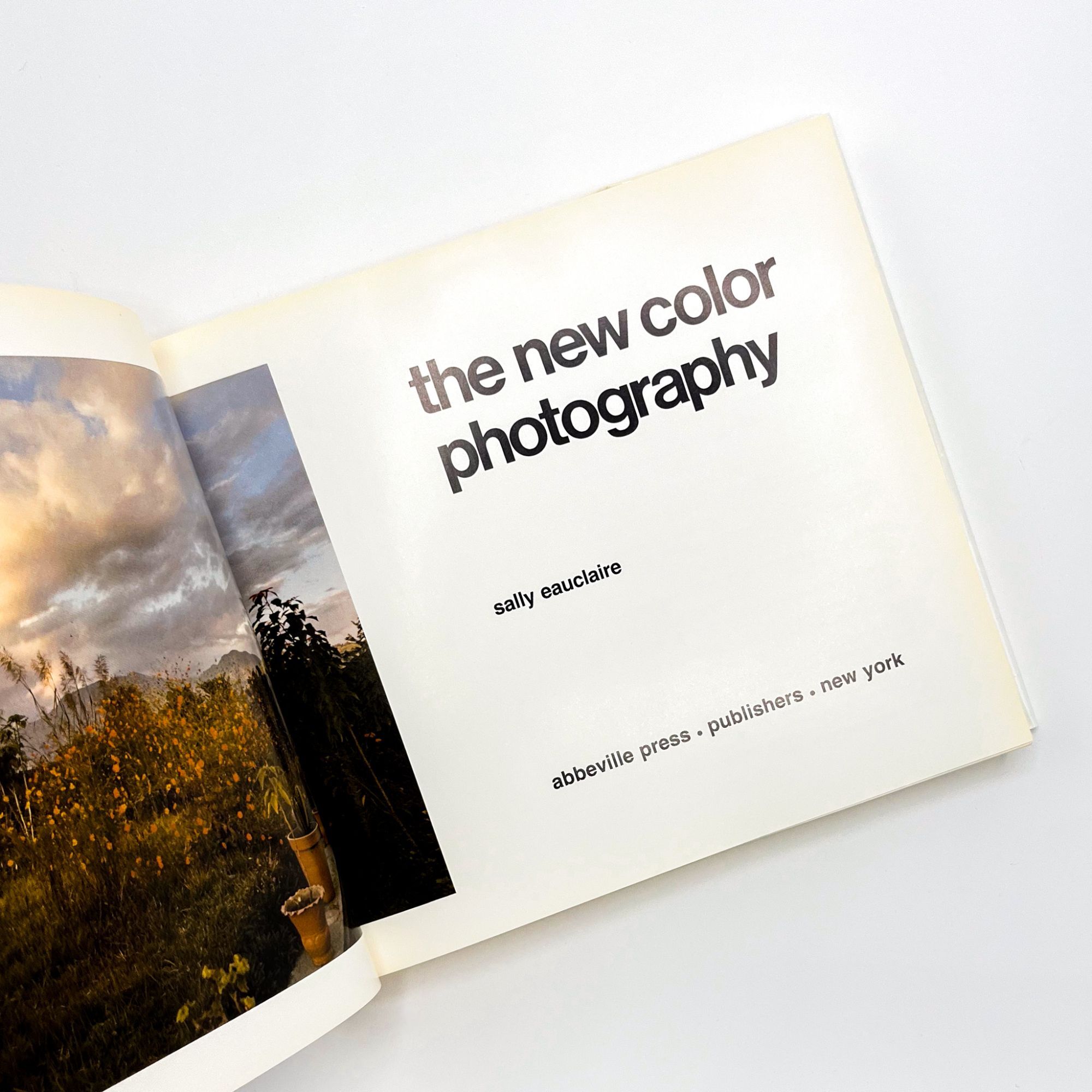 THE NEW COLOR PHOTOGRAPHY | Sally Eauclaire | First printing