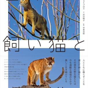 写真集 | 猫本専門書店 書肆 吾輩堂