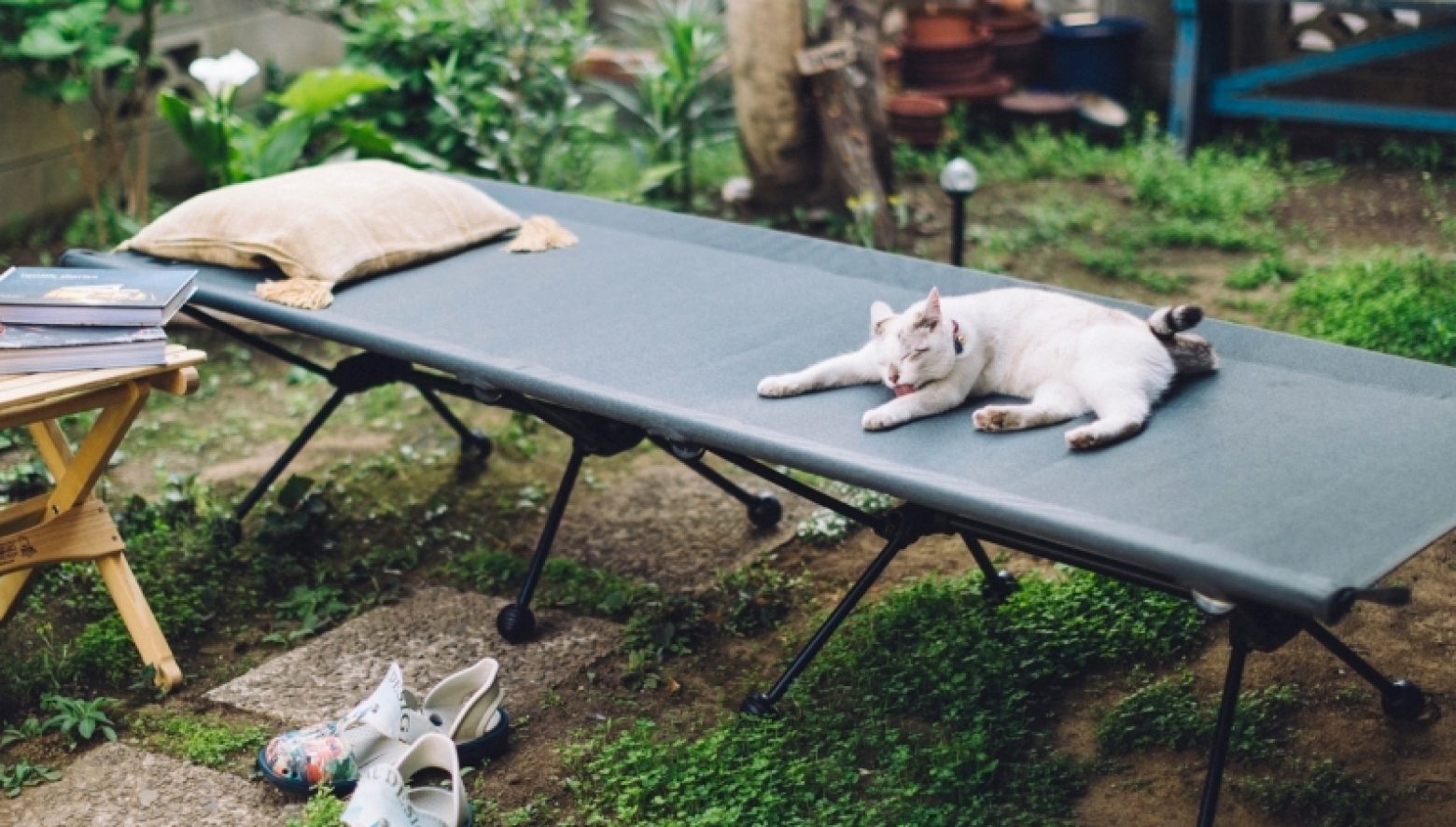 ogawaの新作ワイドコットって実際どうなの？ 高さ調節できる注目作の