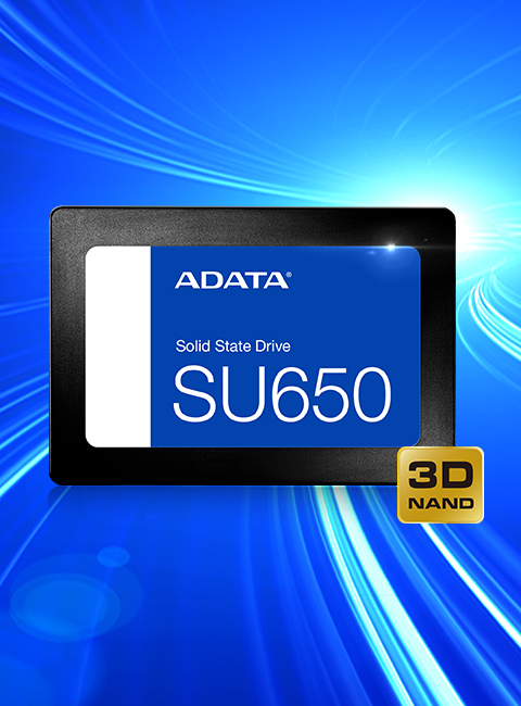 Ultimate SU650 Solid State Drive (United States)