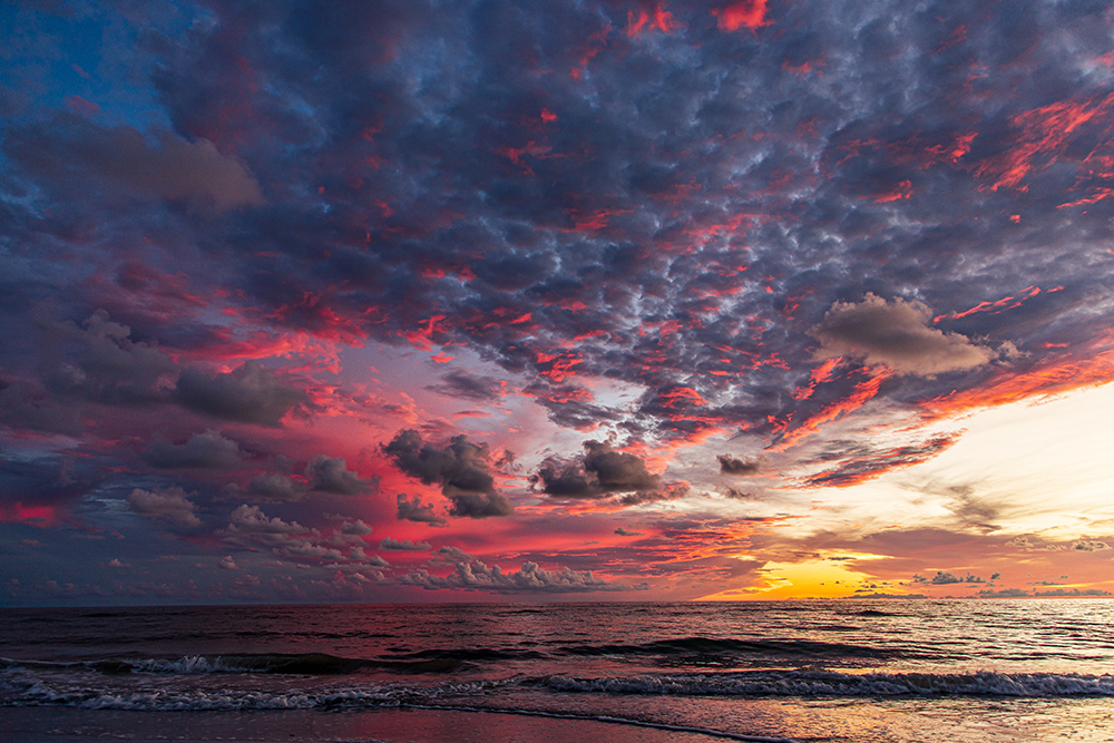 Fiery Sunset Beach Photo Saddle Leather Canvas Print in Florida