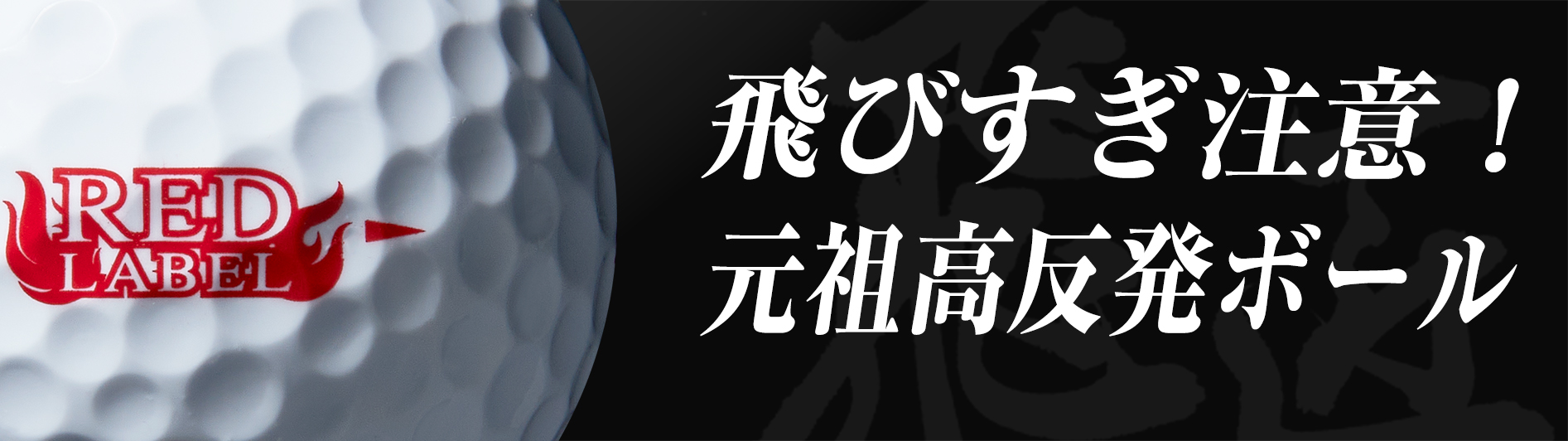 フォーサイト 選べるお得な2本セット｜飛距離アップ高反発ドライバー