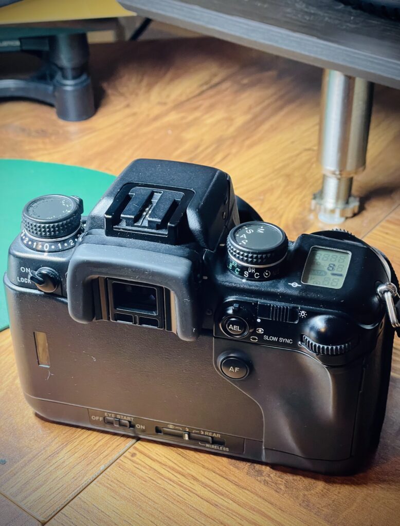 Minolta a-9 - Raspberry Picking in September with a 24mm f2.8, Red