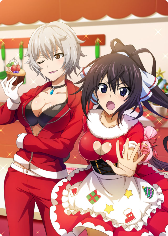 画像ギャラリー No.007 | 「IS＜インフィニット・ストラトス＞アーキ