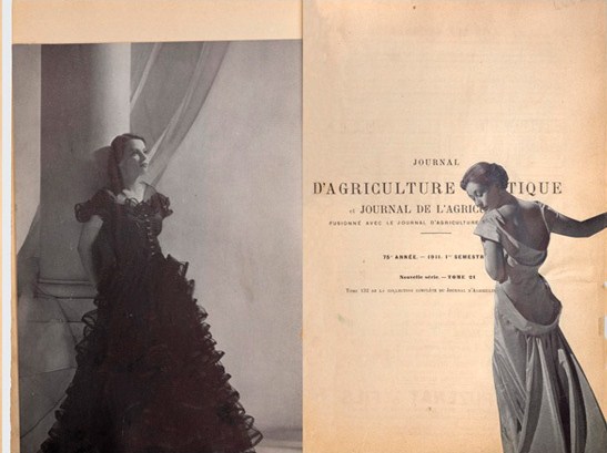 Manual of Marvels | Joseph Cornell (1903-72) - C o c o s s e