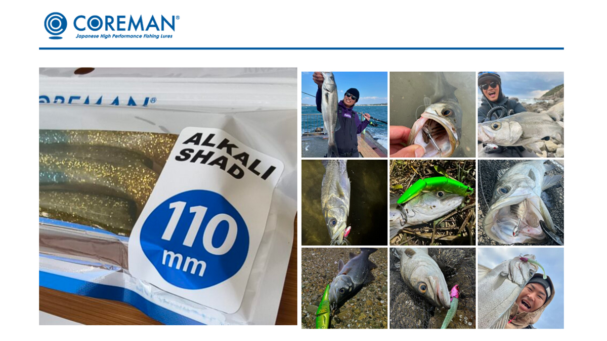 DayStar. CDS96ML-CS IRONPLATE SPECIAL | COREMAN - コアマン公式