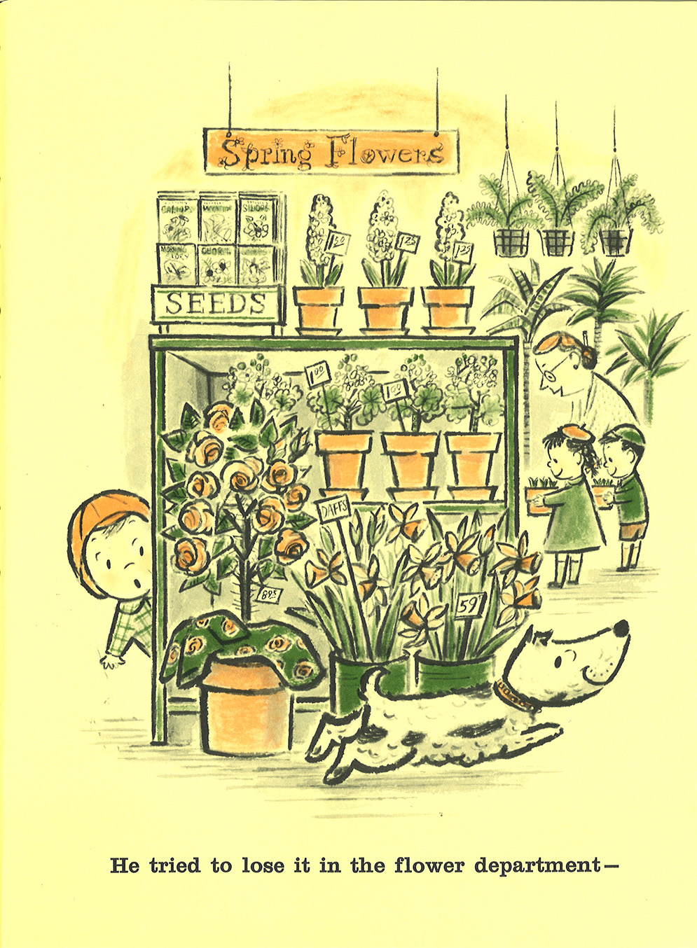 No Roses for Harry! (TP) / コスモピア・オンラインショップ