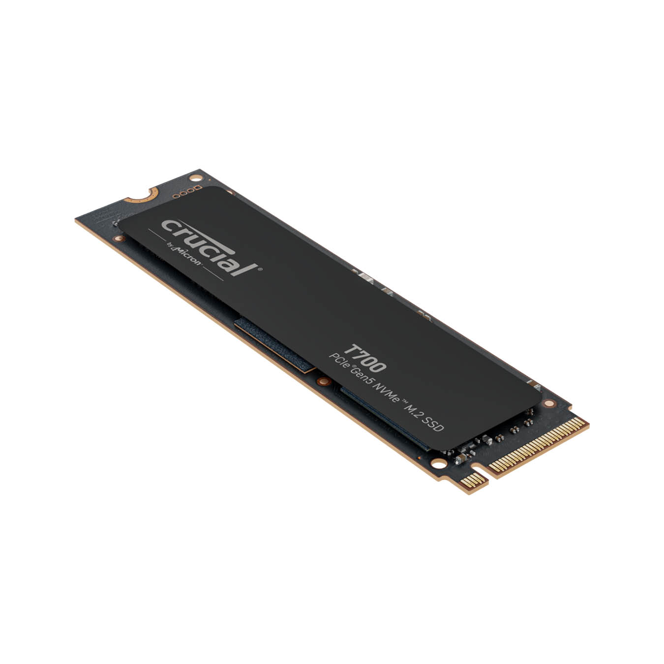 CT2000T700SSD3JP | Crucial T700 ハイエンド M.2 NVMe接続SSD 2TB