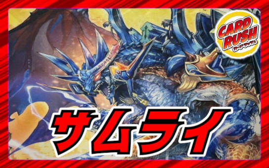 状態A-〕スリーブ『ガルド限定DXカードプロテクトZ(ザキラ)』50枚入り