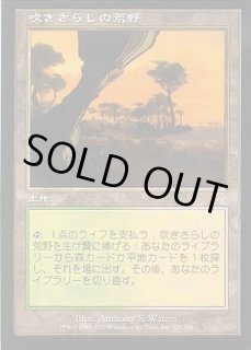 吹きさらしの荒野/Windswept Heath - カードラッシュ[MTG]