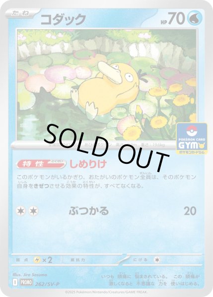 状態C〕コダック【P】{262/SV-P}