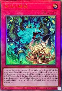 70726f647563742f444f4f445f5352